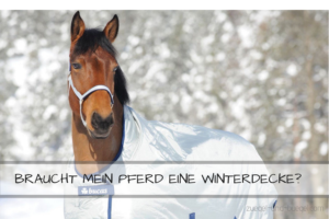 Winterdecken-für-Pferde-300x200  