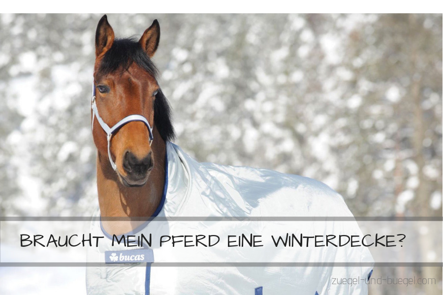 Winterdecken für Pferde