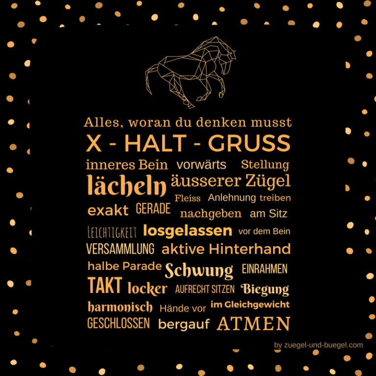 Zitate und Pferdesprüche zum Nachdenken und Schmunzeln