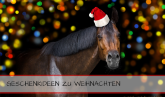 Geschenkideen zu Weihnachten