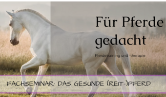 das gesunde Reitpferd