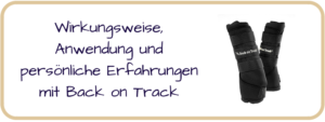 Erfahrungen-mit-Back-on-Track-300x113  