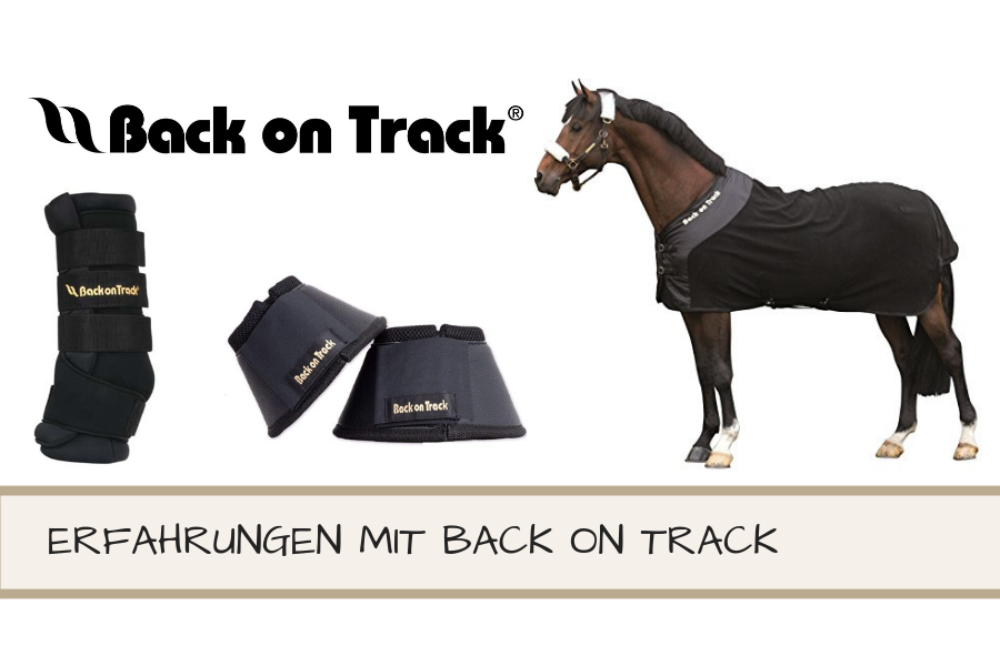 Back on Track Rückenwärmer das Original 100 x 120 cm