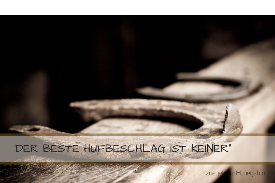 Hufschuhe im Vergleich