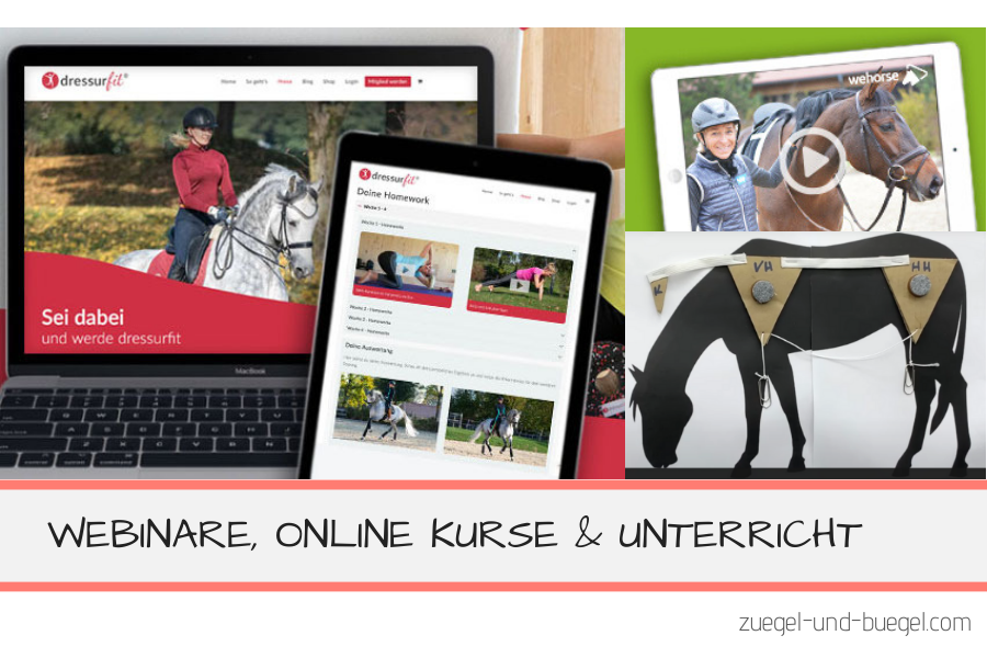 online Angebote für Reiter Webinare online Kurse und Unterricht