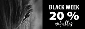 Black-Week-Equiva-300x105  