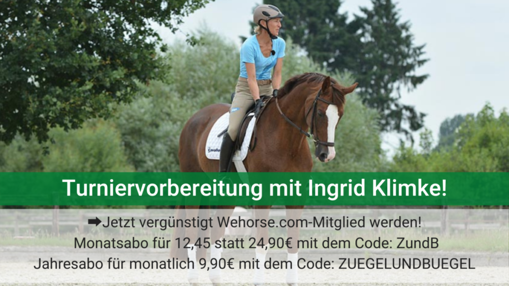 Wehorse-Turniervorbereitung-mit-Ingrid-Klimke-1024x576  