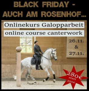 Black-Friday-Rosenhof-292x300  