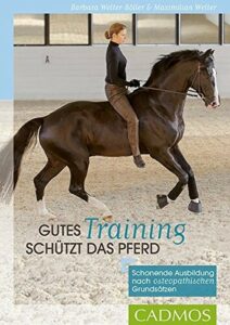 Gutes-Training-schuetzt-das-Pferd-212x300  