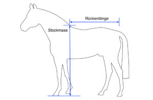 Pferdedecke-Groesse-messen-300x196  