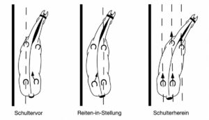 Schultervor-Schulterherein-300x173  