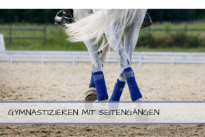 Seitengaenge-300x200  