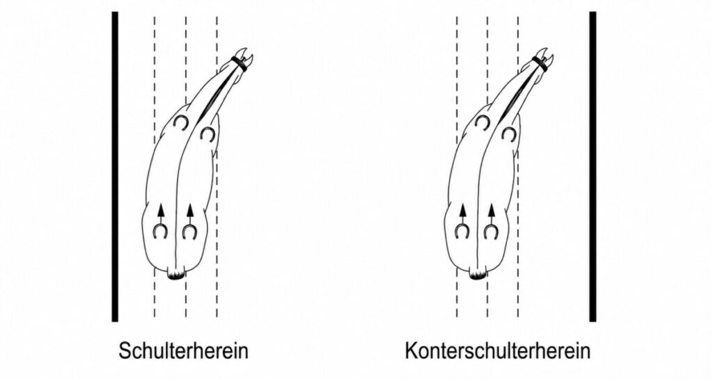 schulterherein-konterschulterherein-1024x545 schulterherein-konterschulterherein-1024x545