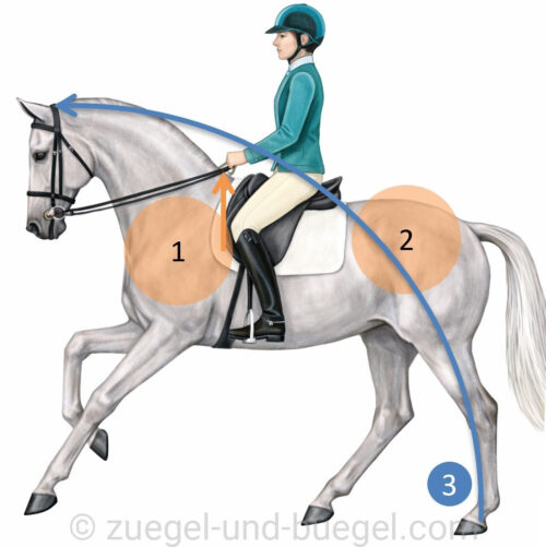 positiver-Spannungsbogen-e1775562834619  